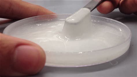 chitosan hydrogel